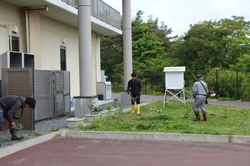 2名の方が校舎の前の周辺草が生えた箇所を草刈り機で草を刈っている様子の写真