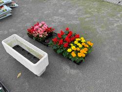 白いプランターが重ねて置かれており、色とりどりの花の苗が準備されている写真