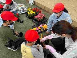 奥に袋に入った土、苗、スコップが準備され、手前で先生と児童が一緒に丁寧に土の中に優しく苗を植え込んでいる様子の写真