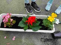 ピンクの花を咲かせたベゴニア、真っ赤なサルビア、黄色い花のマリーゴールドがプランターに植えられた写真