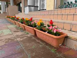 茶色のプランターに植えられた真っ赤なサルビア、ピンクの花を咲かせたベゴニア、黄色のマリーゴールドが階段の下に整列して置かれている写真