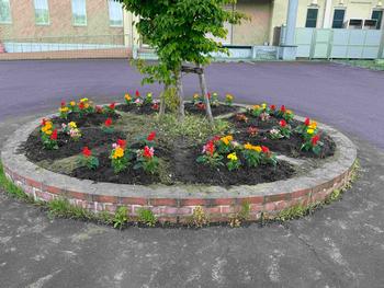中央に木が植えられている丸い花壇に、木を囲むように赤や黄色の鮮やかな花が植えられている写真