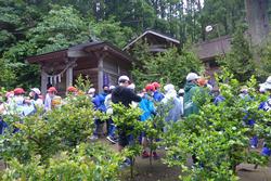 木々が生い茂った場所にある名所旧跡を赤白帽子をかぶった学生達が見学する様子の写真