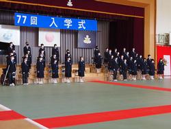 「77回入学式」と書かれた横断幕が掲げられた体育館の舞台前で、制服姿の生徒たちが、階段状に置かれた椅子の前で姿勢よく立っている写真