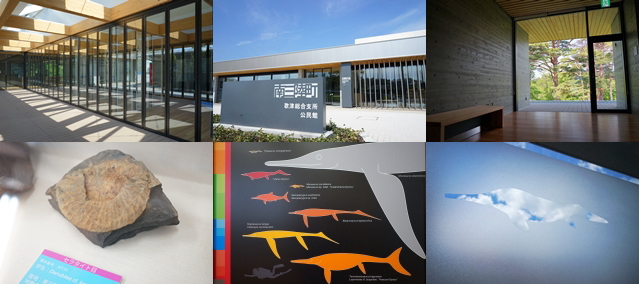 左上：木とガラスで構成された廊下、上段中央：施設の正面玄関、右上：室内の一角にある木製ベンチと大きな窓、右下：イルカのような絵が描かれたオブジェ、下段中央：恐竜時代のパネル、左下：丸い化石の6枚の写真