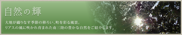 自然の輝 大地が織りなす季節の移ろい、町を彩る風景。リアスの風に吹かれ育まれた南三陸の豊かな自然をご紹介します。