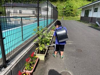 プール横のプランターにランドセルを背負ったまま水やりをしている男子児童の写真
