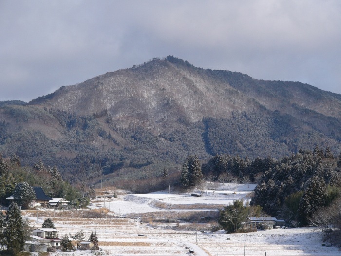 雪に覆われた田畑と杉林の奥に、堂々とそびえる山の風景の写真