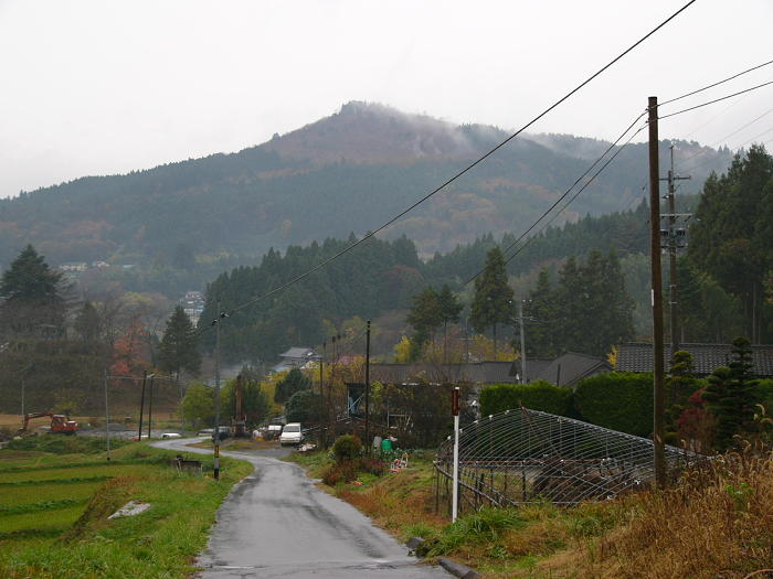 雨に濡れた農道と杉林の奥に、霧がかった山がそびえる写真