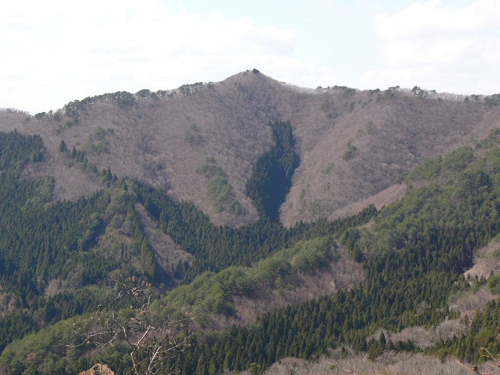 山の斜面に深い谷が刻まれ、頂上が見える冬枯れの山の写真
