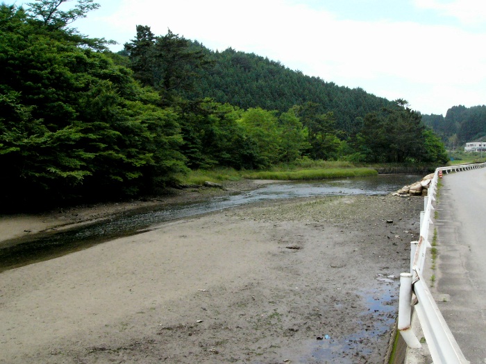 川沿いの道路から見た川底の砂泥が露出し周囲を緑豊かな森が囲む静かな風景の港川の写真