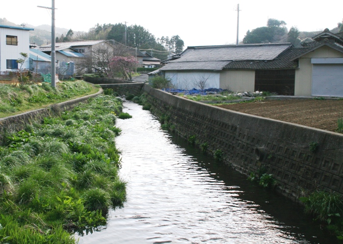 護岸された川の片側に草が茂り、両岸に住宅や畑が並ぶ集落の川沿い風景写真