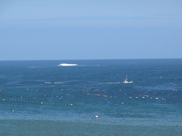 沖合に浮かぶ小さな漁船と、青く広がる海と空のシンプルな景色の写真
