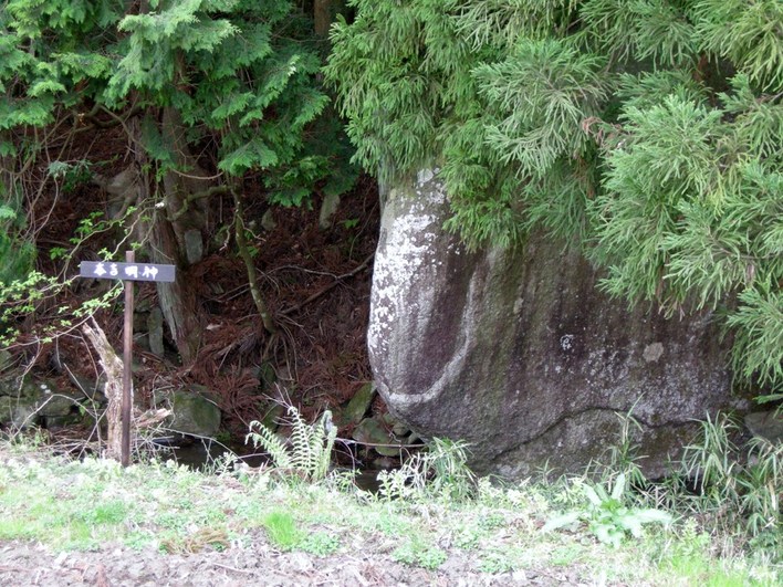 木々の根元に大きな岩があり、その脇に「本吉明神」と書かれた小さな案内板が立っている写真
