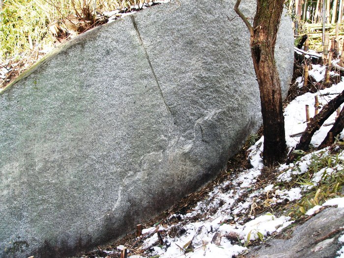 森の中の地面に斜めに立つように巨大な岩がある龍石の写真