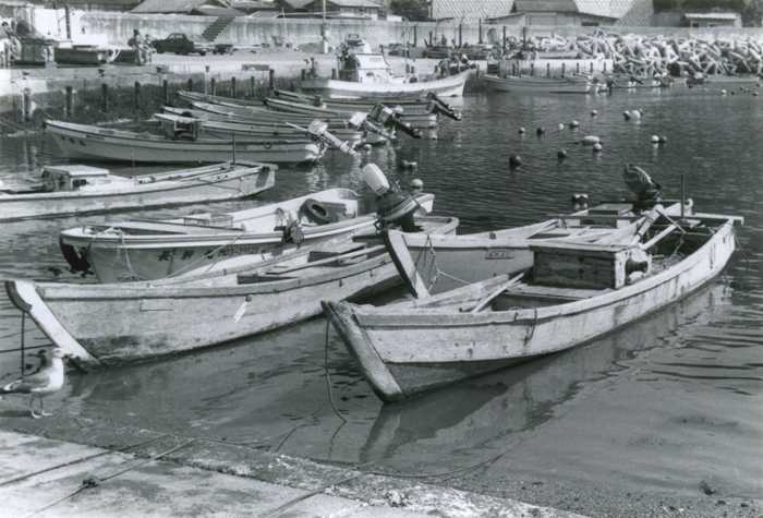 穏やかな港の水面に、いくつもの木造の小型漁船が並んで停まっている白黒写真