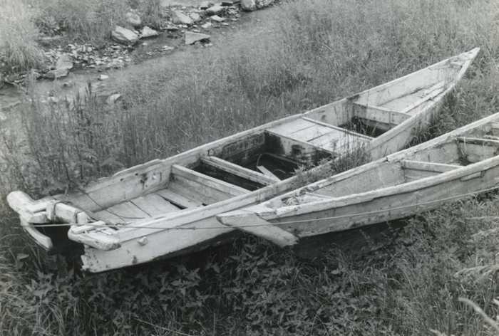 中には仕切りがあり2枚の板材で作られた、草の上に置かれた木製の小型和船タナヅキサッパの白黒写真