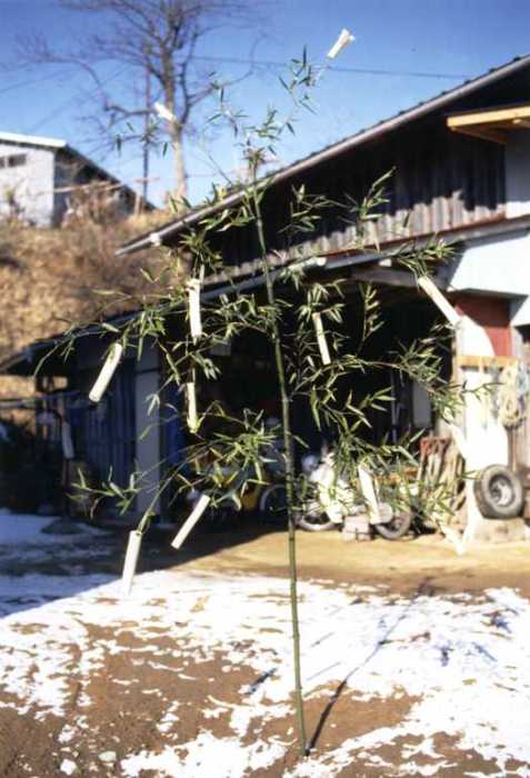 雪の残る家の庭先に細い竹が立てられ、その枝に白い紙垂が結び付けられているアワボヒエボを写した写真