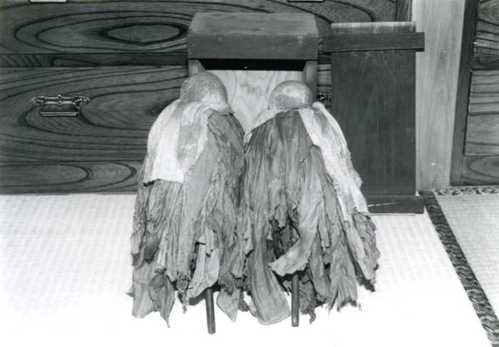 畳の上に置かれた30センチ前後の御神体に沢山の布が重ねられている一対の木偶が写っている白黒写真