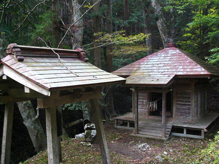 鬱蒼とした森の中に木造の小さな社殿が建ち、苔むした地面の前には簡素な鳥居が立ち、周囲を大木と新緑が囲む静謐な雰囲気の荒沢不動尊の写真