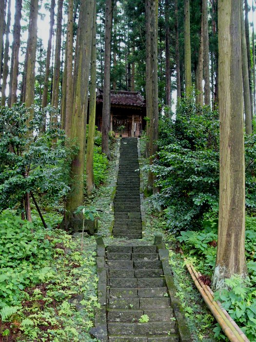 「苔むした石段の先に、瓦屋根を持つ伝統的な日本建築の木造建物があり、背の高い木々に囲まれて静かな雰囲気を醸し出している摩利支天の写真