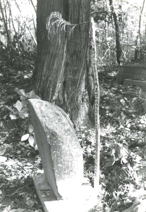 森の中にある苔むした古い墓石と木の幹が写されており、表面がやや丸みを帯びた墓石とその横にある細い杉の枝には文字が書かれている三十三回忌の杉塔婆の写真