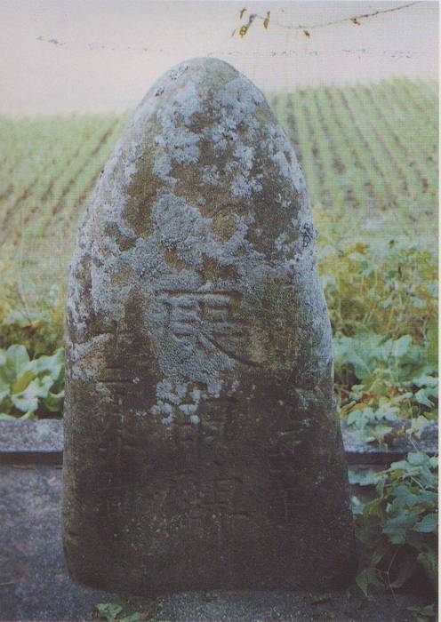 畑の脇に立つ苔むした自然石の石碑で、中央に大きく「庚申碑」と刻まれている供養碑の写真