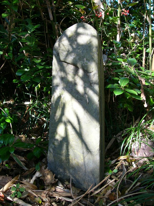 草木に囲まれた場所に、縦長で角の丸い石碑が立っている干魚供養塔の写真