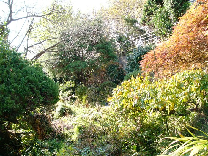 緑濃い木々と赤や黄に色づいた紅葉が混じり、斜面の上に木柵が見える管の浜貝塚の写真