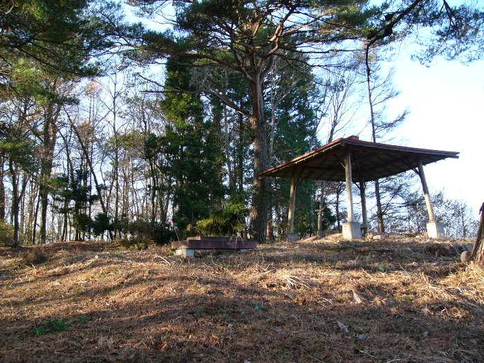冬枯れの林の中、小高い場所に赤い屋根の東屋とベンチがあり、背後に常緑樹が立ち並ぶ母衣羽山金峯寺跡の写真