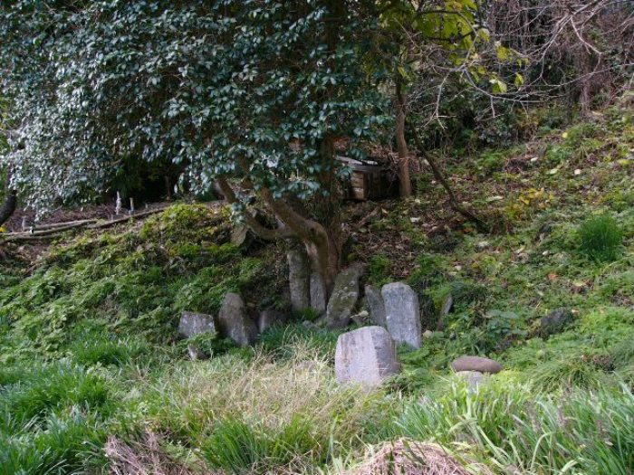 大きな木のそばに複数の苔むした板碑が集まって立っている折立板碑群の写真