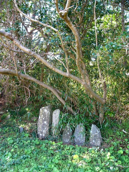 緑豊かな草や木々が生い茂る自然の中で、木の下に大小様々な大きさの5つの石碑が並んでたっている波伝谷板碑群の写真