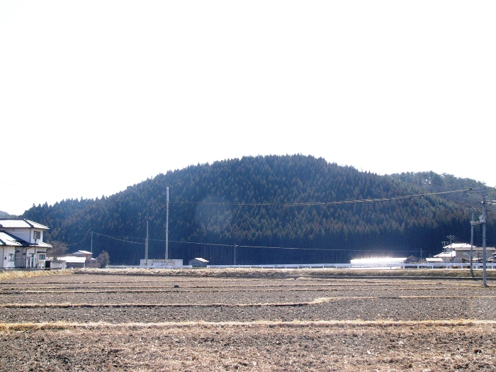 冬枯れの広い田畑の向こうに、均整の取れた形で濃緑の杉林に覆われた小高い山がそびえ、周囲に民家や電柱が点在する小森館跡の写真
