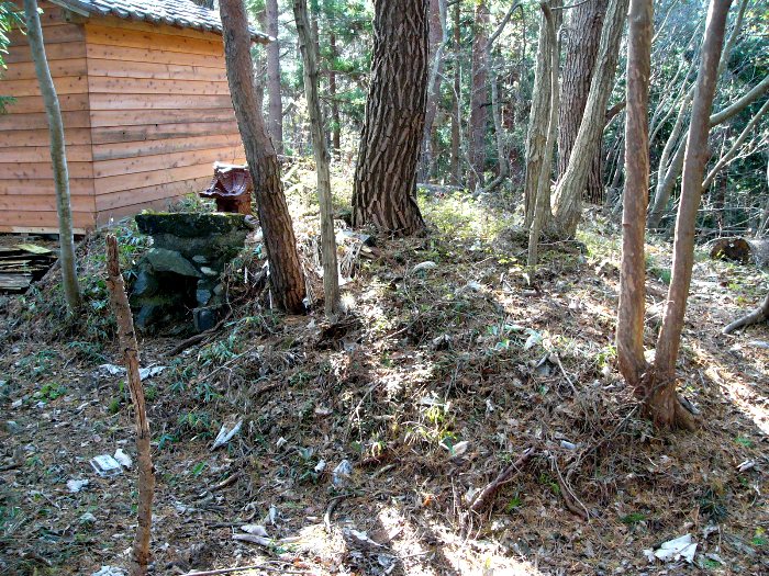 朽ちた木々や落ち葉がある森の中に、木造の小屋と古い石垣の一部が写っている写真