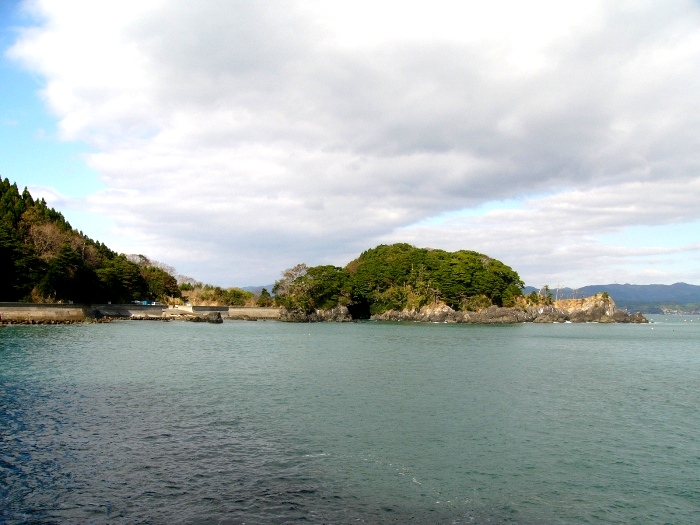 海岸沿いに広がる海と、中央に木々が生い茂る小さな島が浮かんでいる風景を捉えた写真