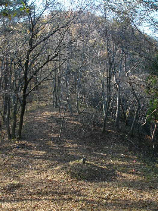 冬枯れの雑木林に囲まれた山の小道の中央に、こんもりとした小さな塚がある写真
