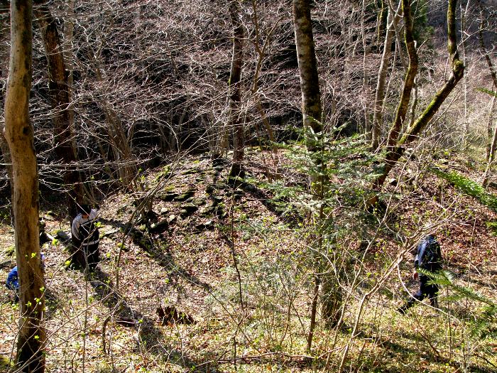 木々がまばらに生える林の斜面に苔むした石の列が見える砂金流し掘り跡を高い位置から写した写真