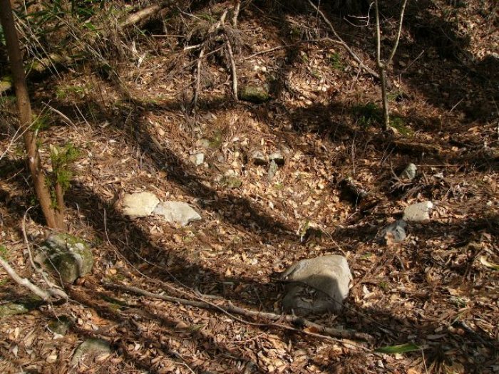 林の地面に落ち葉や細い枝が積もり、その中に大小の石が点在していて少し窪んだ地形が見える簗場跡の写真