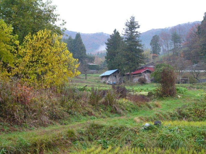 山あいののどかな田園風景の中に赤や青の屋根を持つ小さな家があり、周囲には秋の色づいた木々や緑の草地が広がっている峯貝産金跡を写した写真