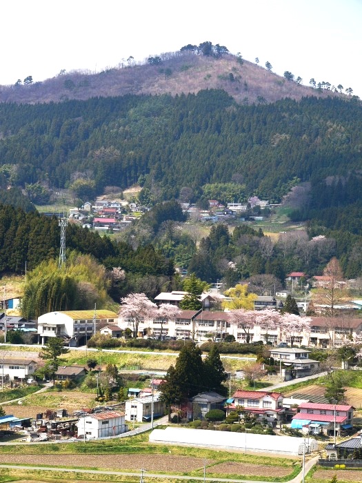 手前に住宅や建物が集まる村があり、その奥に濃い緑の森とさらに高く茶色い山肌が広がる山、童子山がそびえている写真
