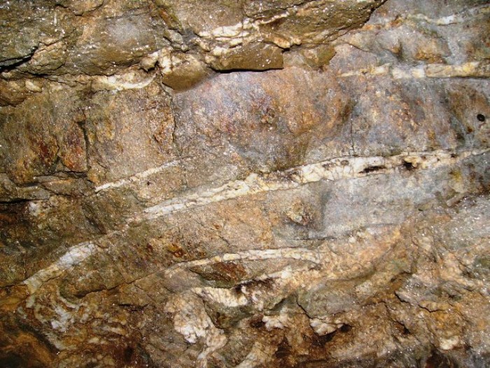 茶褐色の岩盤に白い鉱脈の筋が走っている様子を間近で撮影した坑道内壁/十枚山産金跡の写真