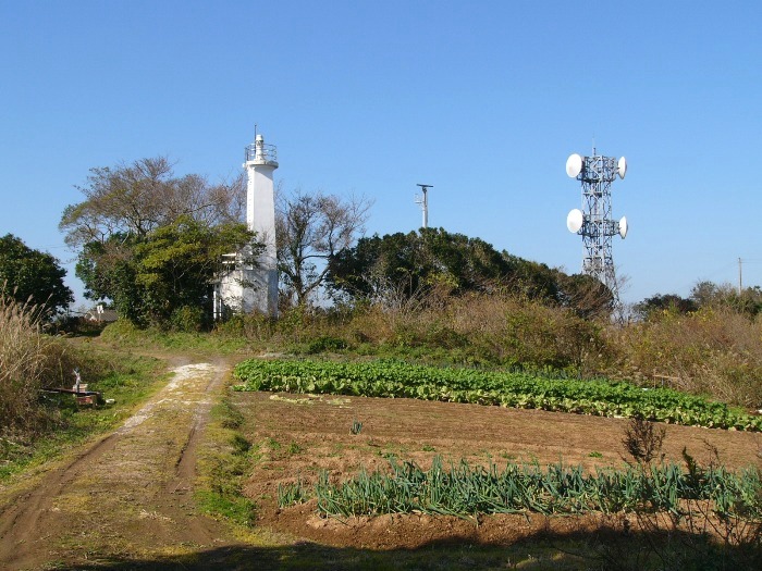 木々に囲まれて灯台と電波塔が並んで立ち、手前には畑とその横を通る未舗装の一本道がある風景の写真