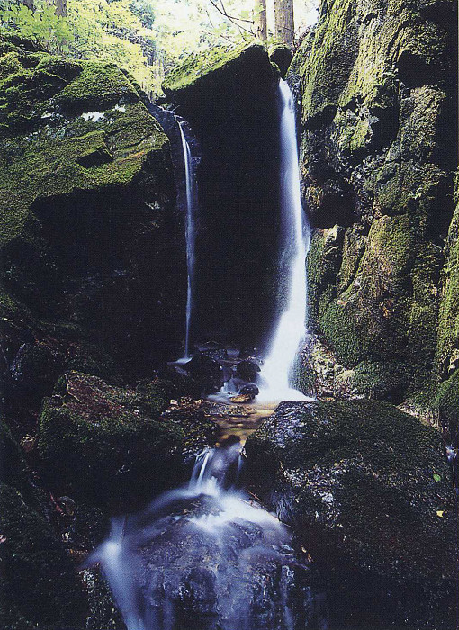 緑の苔が広がる岩を伝って流れる滝の写真