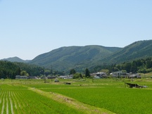 青空の下、田んぼと民家が広がり、奥に穏やかな山並みが連なる風景写真