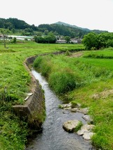 緑豊かな田園地帯を小川が蛇行しながら流れ、岸辺に草が生い茂り奥に集落と山並みが見える桵葉川の風景写真