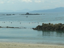 遠くの島々を背景に、海面に整然と並ぶ養殖用のブイと、岸辺の岩が見える穏やかな入り江の写真