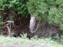 木々の根元に大きな岩があり、その脇に「本吉明神」と書かれた小さな案内板が立っている写真