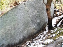 森の中の地面に斜めに立つように巨大な岩がある龍石の写真