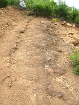 地面の斜面に渦巻き状の模様が多数現れているオニオンストラクチャーの化石の写真