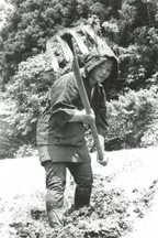 作業着を身にまとい、頭には頭巾ようなものをかぶった女性が手に大きなクワを持ち、土を耕している様子の白黒写真